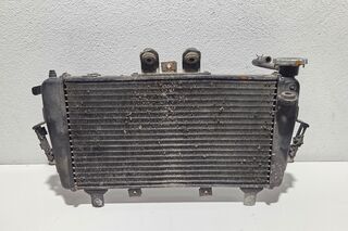 Radiator apa Triumph Tiger 1050 2007-2013