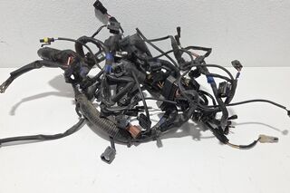 Instalatie electrica Triumph Tiger 1050 2007-2013