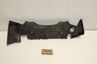 Carena radiator BMW K1200S 2004-2008