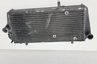 Radiator Aprilia Dorsoduro 750