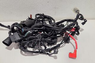 Instalatie electrica Honda CB750 Hornet 2023+
