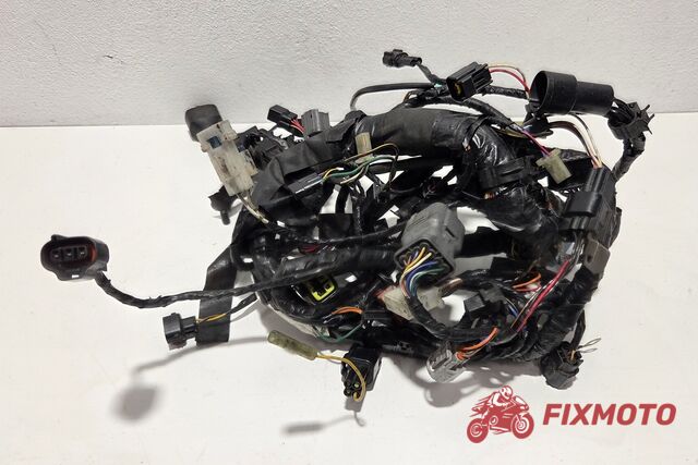 Instalatie electrica Kawasaki Z750 2004-2006