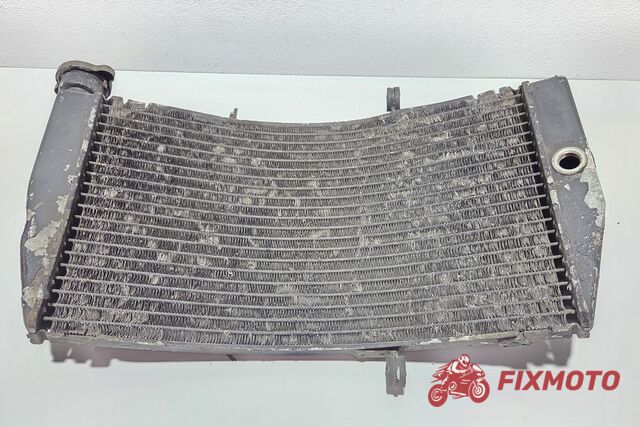 Radiator Honda CBR 929 2000-2001