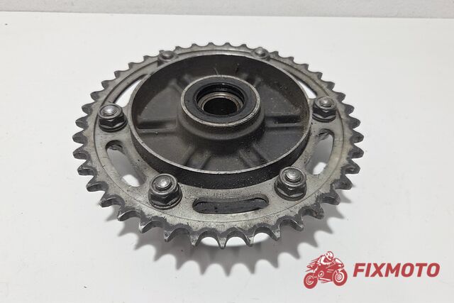 Pinion +portpinion Honda CBR 600 RR 2007-2008