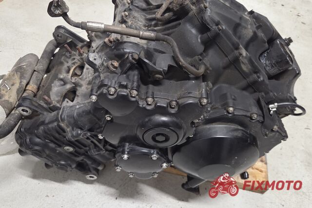 Motor Triumph Tiger 1050 2007-2013