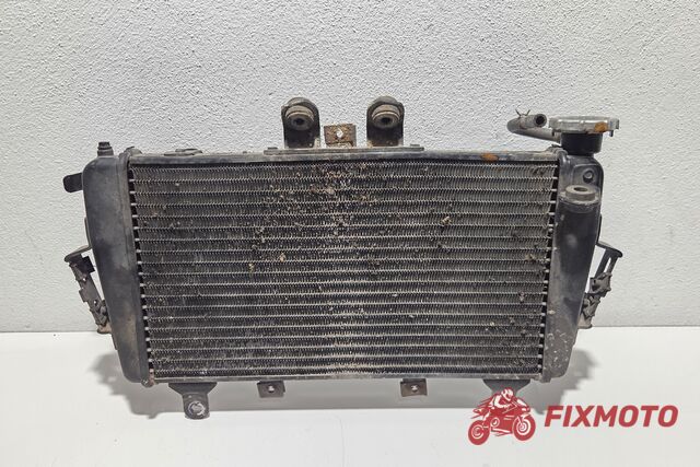 Radiator apa Triumph Tiger 1050 2007-2013