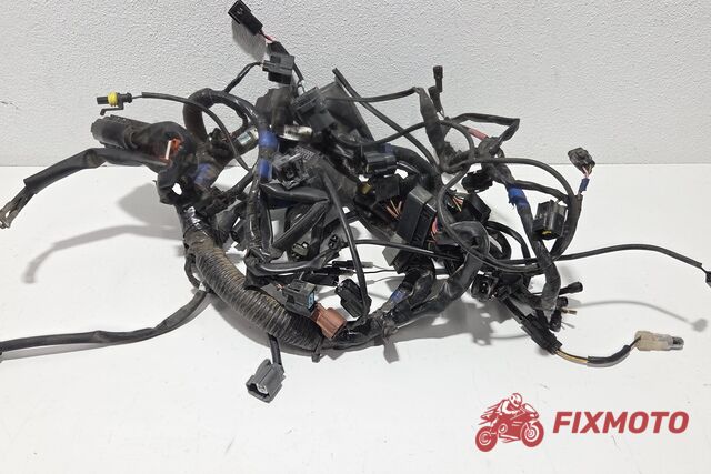 Instalatie electrica Triumph Tiger 1050 2007-2013