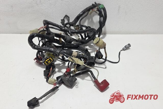Instalatie electrica Kawasaki ZX6R 2000-2002