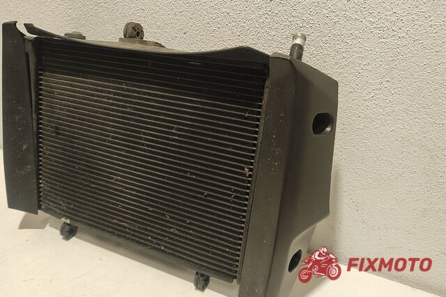 Radiator Suzuki GSR600