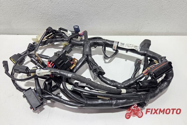 Instalatie electrica Yamaha XSR700