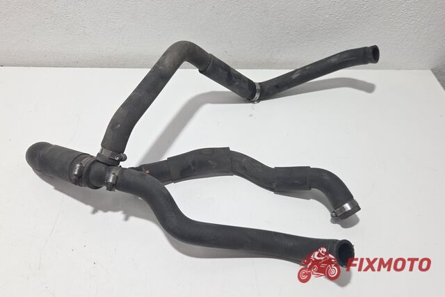 Furtune apa antigel Honda Transalp 650