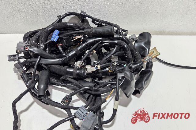 Instalatie electrica Kawasaki Z500 2024+