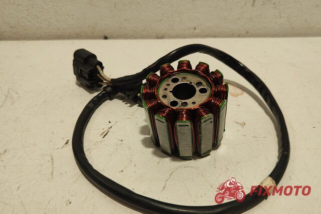 Stator Yamaha Yamaha FZ1 FAZER1000
