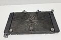 Radiator Honda Hornet 2007-2011 2