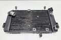 Radiator apa Suzuki SV650 N 1998-2002 2