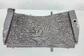 Radiator Honda CBR 929 2000-2001 1
