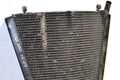 Radiator Honda CBR1000RR 2004-2005 2