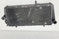 Radiator Aprilia Dorsoduro 750 1