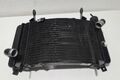 Radiator KTM SMCR 690 original 2019 3