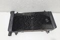 Radiator Moto Morini X-cape 650 1