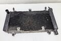 Radiator Moto Morini X-cape 650 2