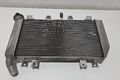 Radiator original Kawasaki Z500 2024+ 1